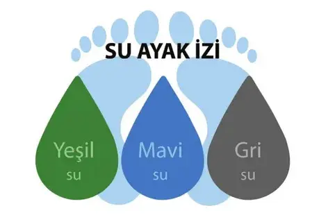 Karbon Ayak izi Hesaplama